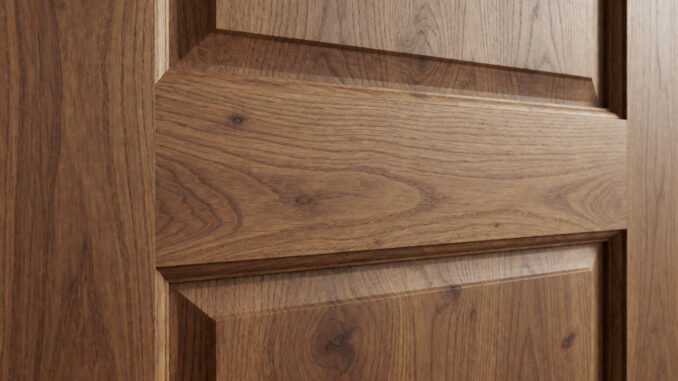 echtholzfurnier_tuer
