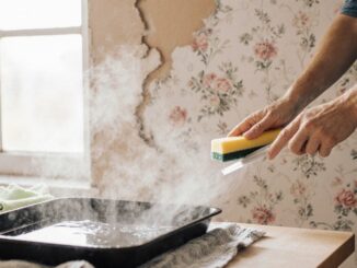 schonende Methode zur Tapetenentfernung