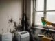 Schimmelprobleme an der Wand behoben